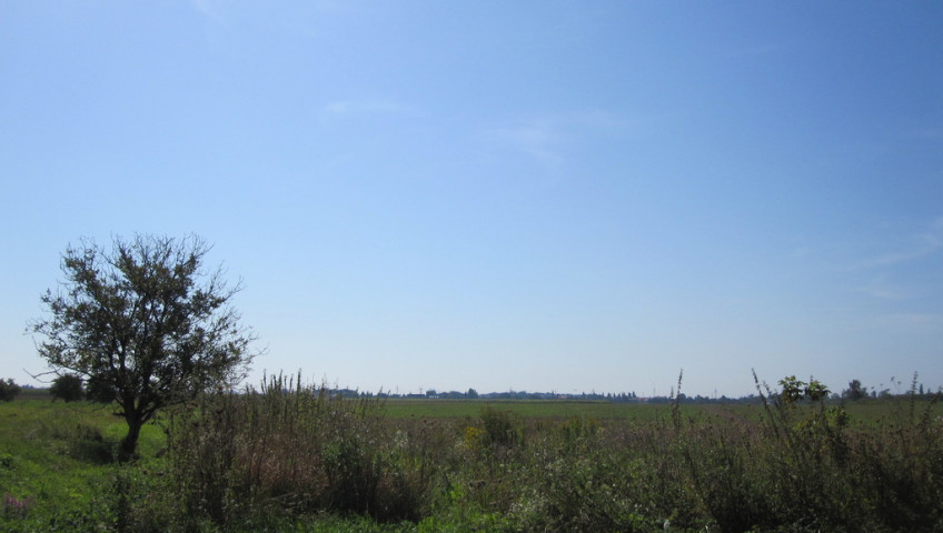 Działka Sprzedaż Lubiczów
